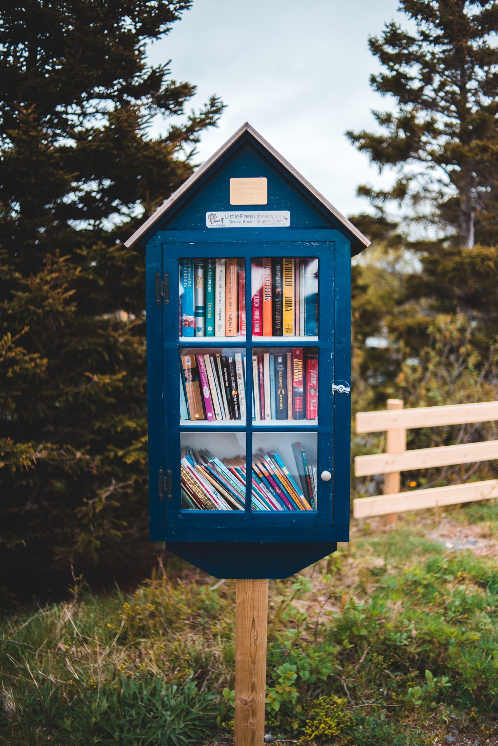 Dénicher le bon livre !